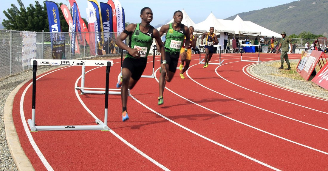 Champs source_Gleaner