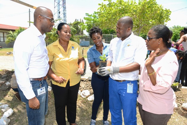 Long-term partnership